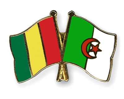 Fahnen Pins Guinea Algerien