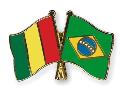 Fahnen Pins Guinea Brasilien