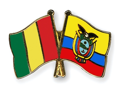 Fahnen Pins Guinea Ecuador