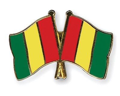 Fahnen Pins Guinea Guinea