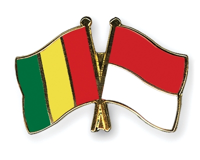 Fahnen Pins Guinea Indonesien