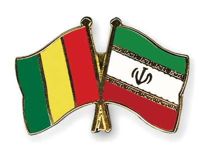 Fahnen Pins Guinea Iran