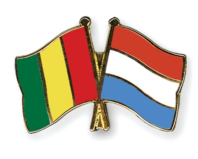 Fahnen Pins Guinea Luxemburg