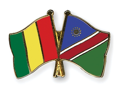 Fahnen Pins Guinea Namibia