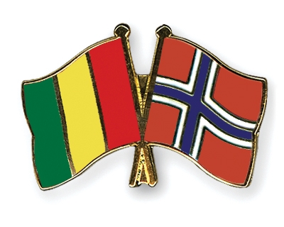 Fahnen Pins Guinea Norwegen