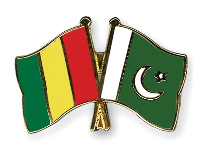 Fahnen Pins Guinea Pakistan