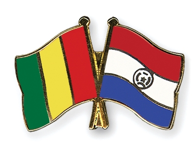 Fahnen Pins Guinea Paraguay