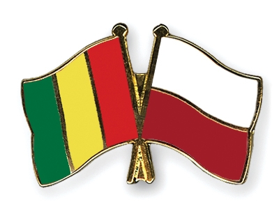 Fahnen Pins Guinea Polen