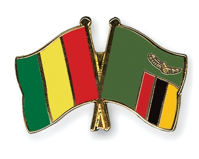 Fahnen Pins Guinea Sambia