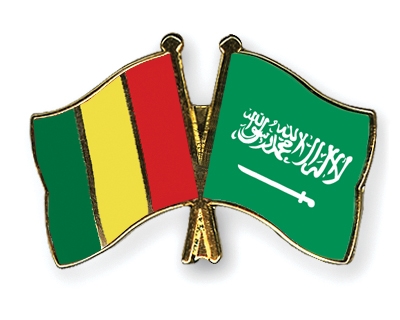 Fahnen Pins Guinea Saudi-Arabien