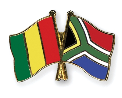 Fahnen Pins Guinea Sdafrika