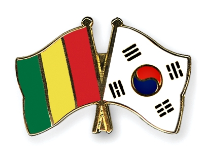 Fahnen Pins Guinea Sdkorea