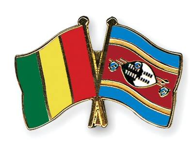 Fahnen Pins Guinea Swasiland