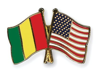 Fahnen Pins Guinea USA