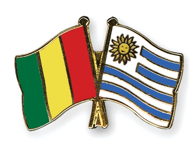 Fahnen Pins Guinea Uruguay