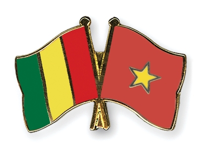 Fahnen Pins Guinea Vietnam