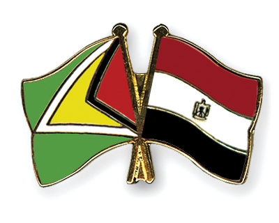 Fahnen Pins Guyana gypten