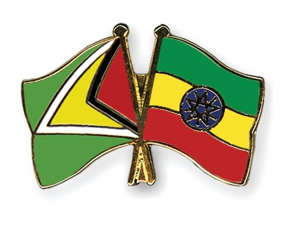 Fahnen Pins Guyana thiopien