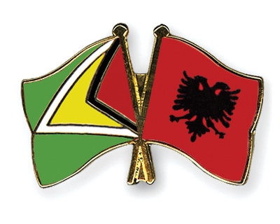 Fahnen Pins Guyana Albanien