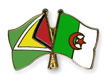 Fahnen Pins Guyana Algerien