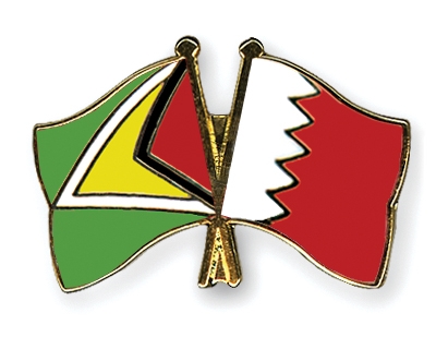 Fahnen Pins Guyana Bahrain
