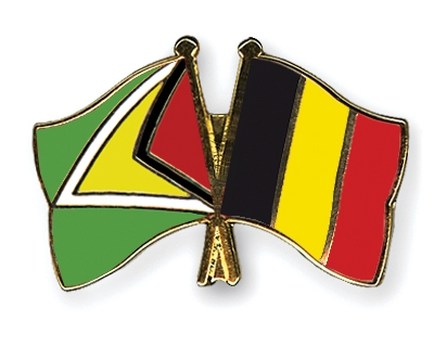Fahnen Pins Guyana Belgien