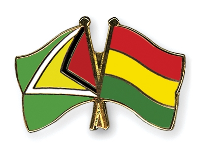 Fahnen Pins Guyana Bolivien