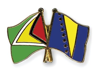 Fahnen Pins Guyana Bosnien-und-Herzegowina