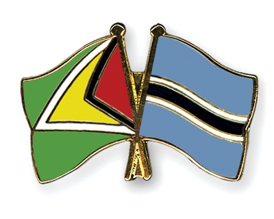 Fahnen Pins Guyana Botsuana