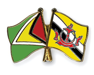 Fahnen Pins Guyana Brunei-Darussalam