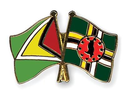 Fahnen Pins Guyana Dominica