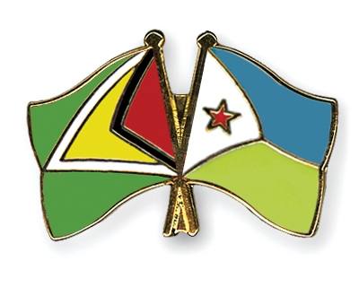 Fahnen Pins Guyana Dschibuti