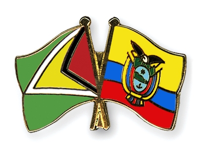 Fahnen Pins Guyana Ecuador