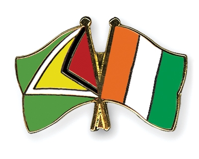 Fahnen Pins Guyana Elfenbeinkste