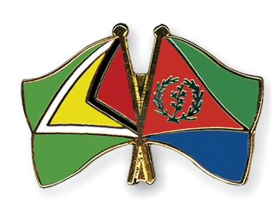 Fahnen Pins Guyana Eritrea