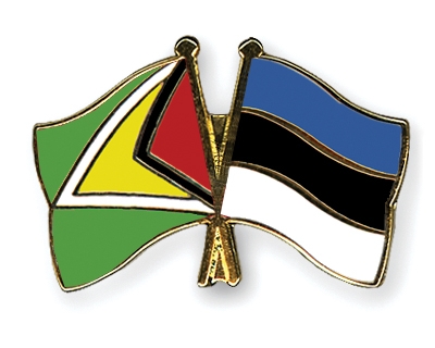 Fahnen Pins Guyana Estland