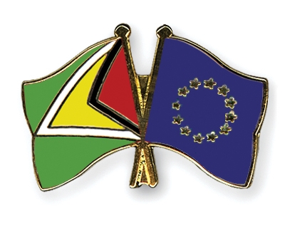 Fahnen Pins Guyana Europa