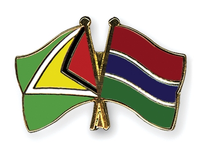 Fahnen Pins Guyana Gambia