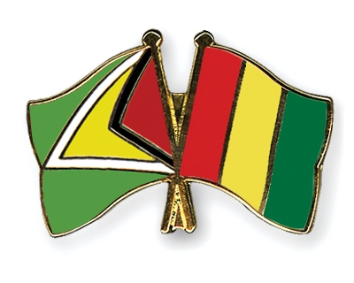 Fahnen Pins Guyana Guinea