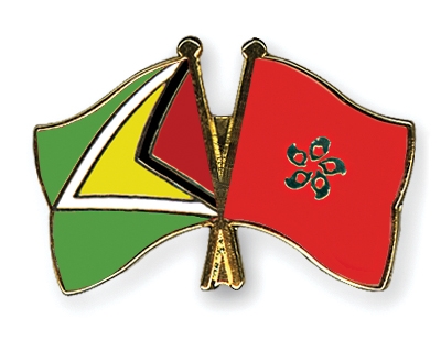 Fahnen Pins Guyana Hong-Kong