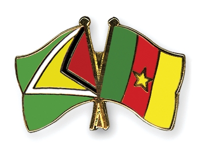 Fahnen Pins Guyana Kamerun