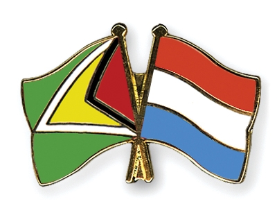 Fahnen Pins Guyana Luxemburg