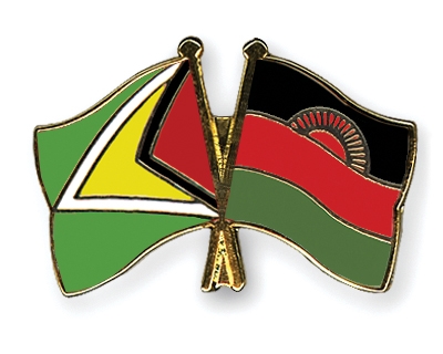 Fahnen Pins Guyana Malawi