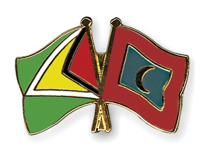 Fahnen Pins Guyana Malediven