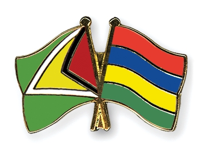Fahnen Pins Guyana Mauritius