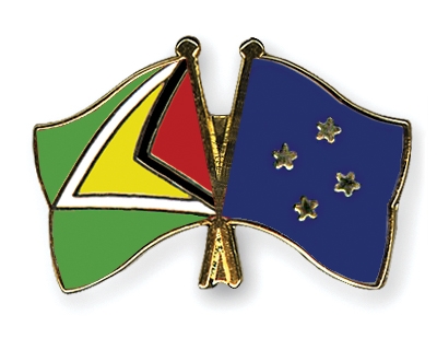 Fahnen Pins Guyana Mikronesien