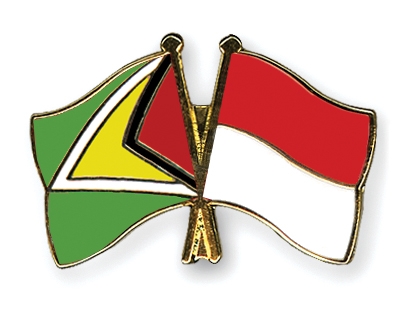 Fahnen Pins Guyana Monaco