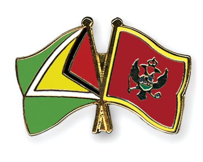 Fahnen Pins Guyana Montenegro