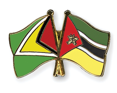 Fahnen Pins Guyana Mosambik