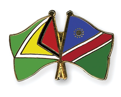 Fahnen Pins Guyana Namibia